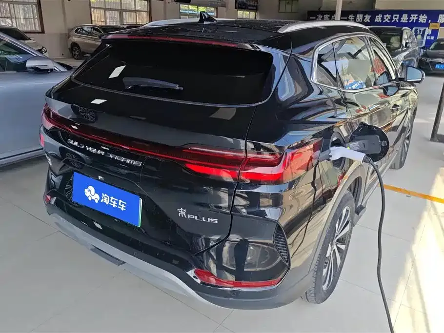 BYD PLUS New Energy — фото 7