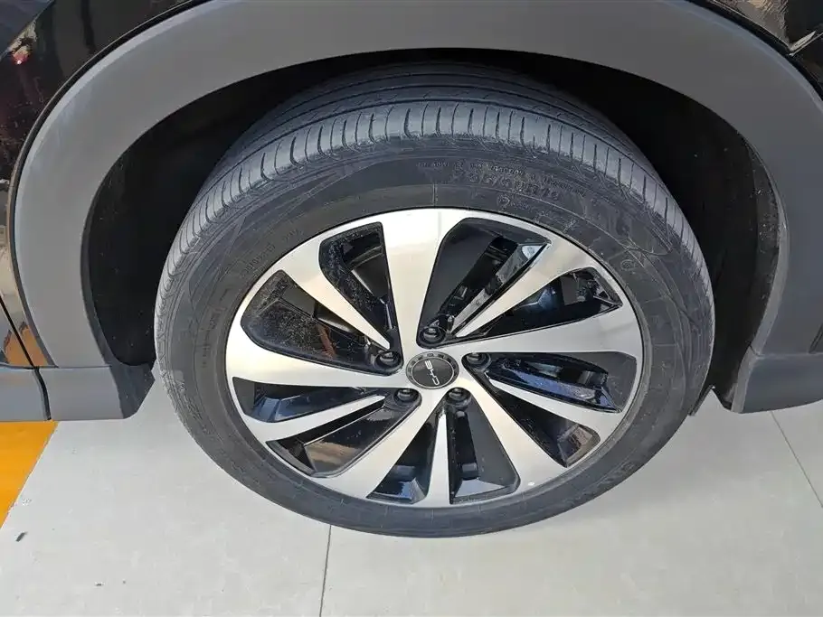 BYD PLUS New Energy — фото 2