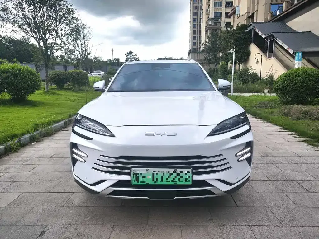 BYD PLUS New Energy — фото 8