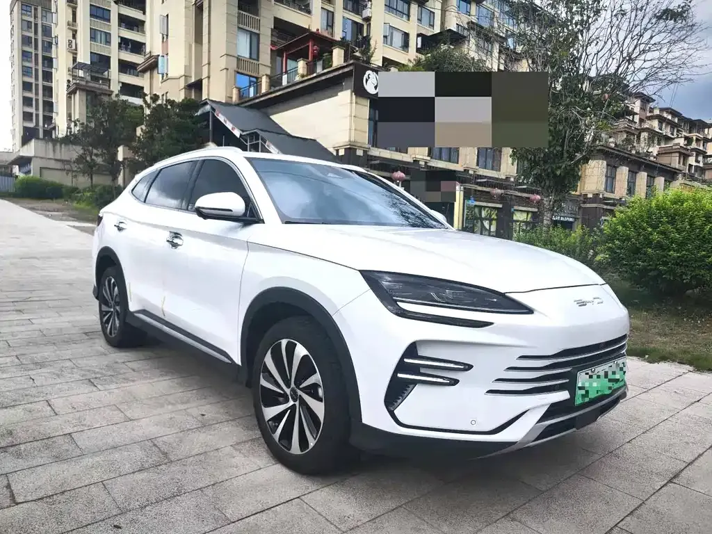 BYD PLUS New Energy — фото 5