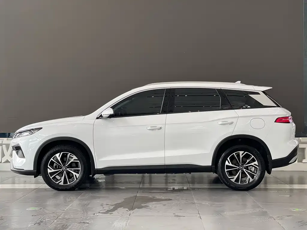 BYD Pro New Energy — фото 4