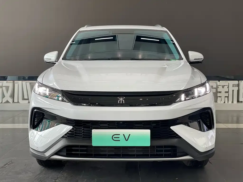 BYD Pro New Energy — фото 9