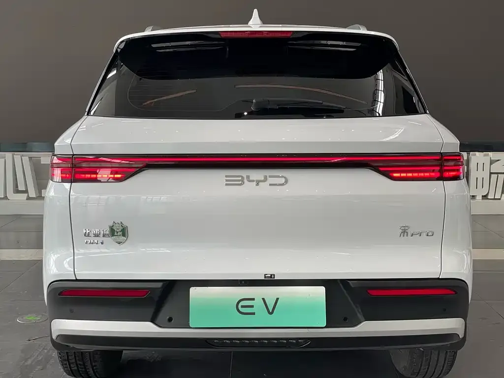 BYD Pro New Energy — фото 2