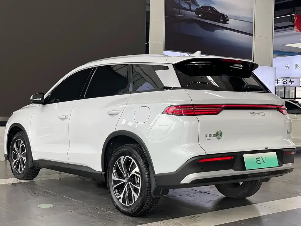 BYD Pro New Energy — фото 7