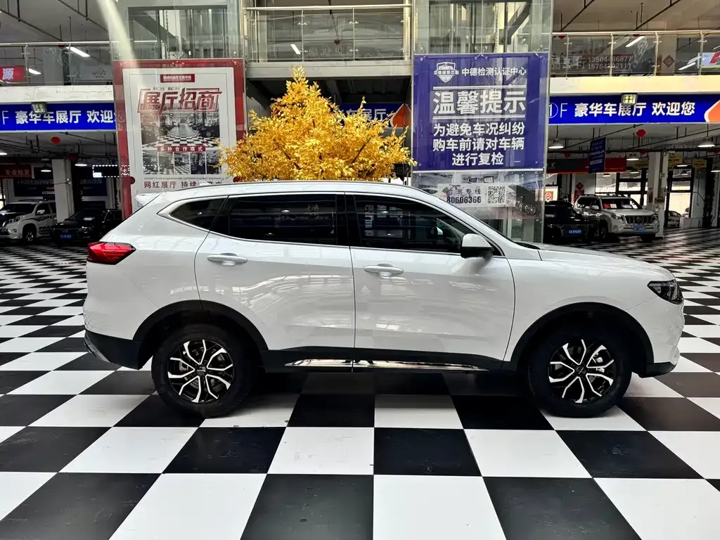 Haval H6 2022 из CN, фото 5