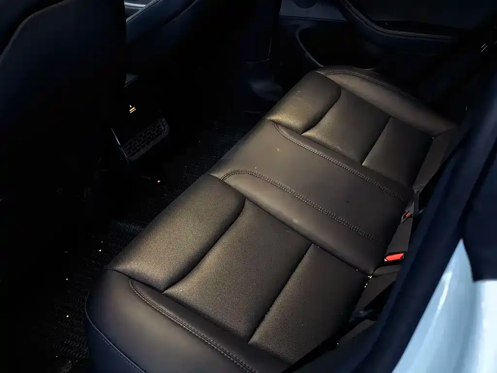 Tesla Model 3 2025 из CN, фото 4