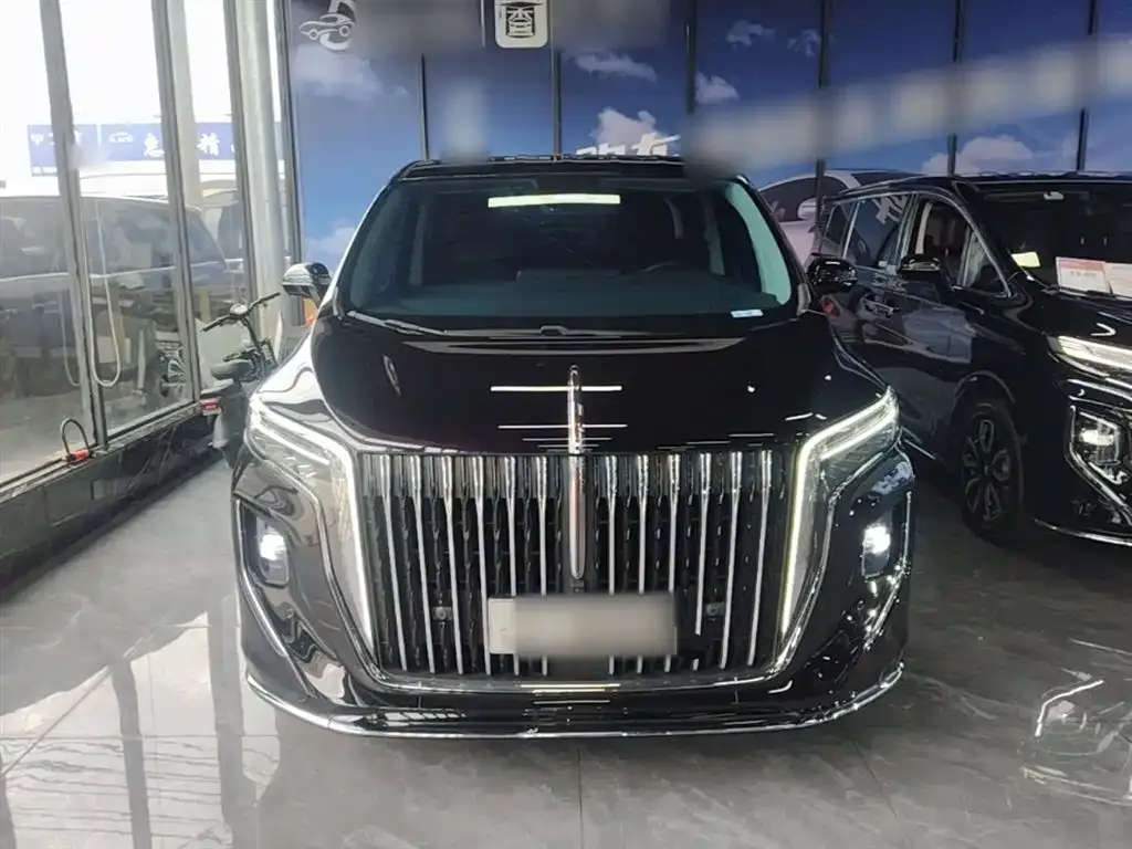 Hongqi HQ9 2023 из CN, фото 9