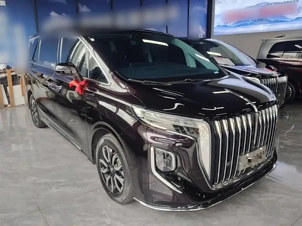 Hongqi HQ9 2023 из CN, фото 8