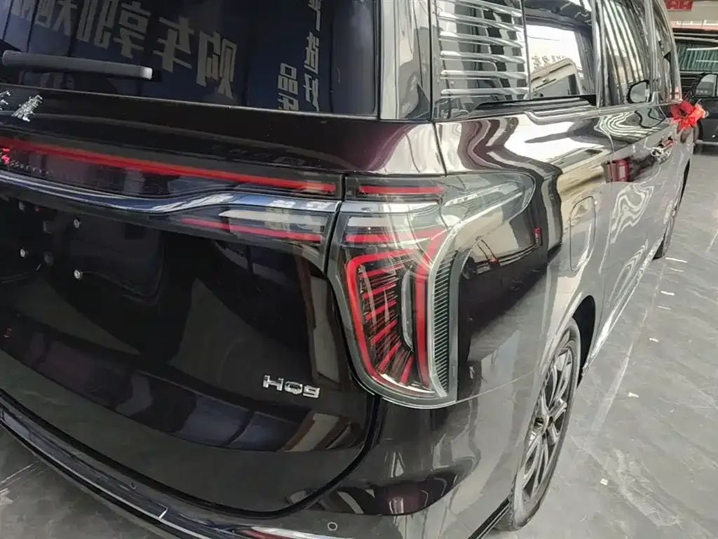 Hongqi HQ9 2023 из CN, фото 10