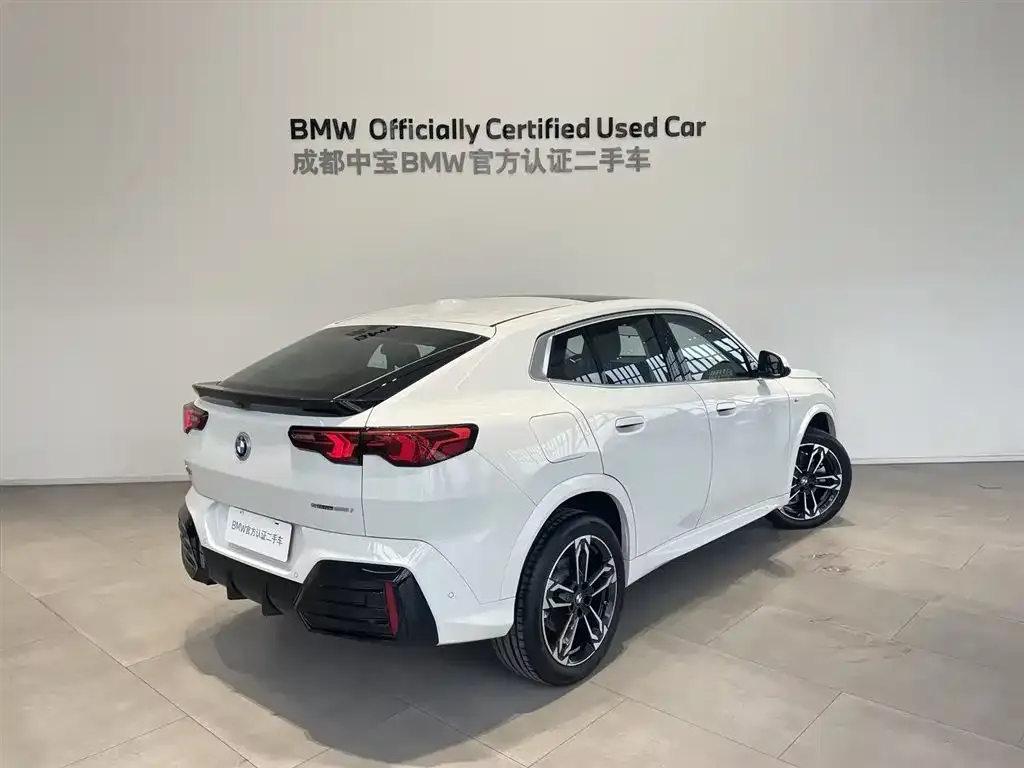 BMW X2 (Import) 2025 из CN, фото 6