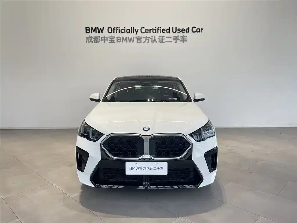 BMW X2 (Import) 2025 из CN, фото 5