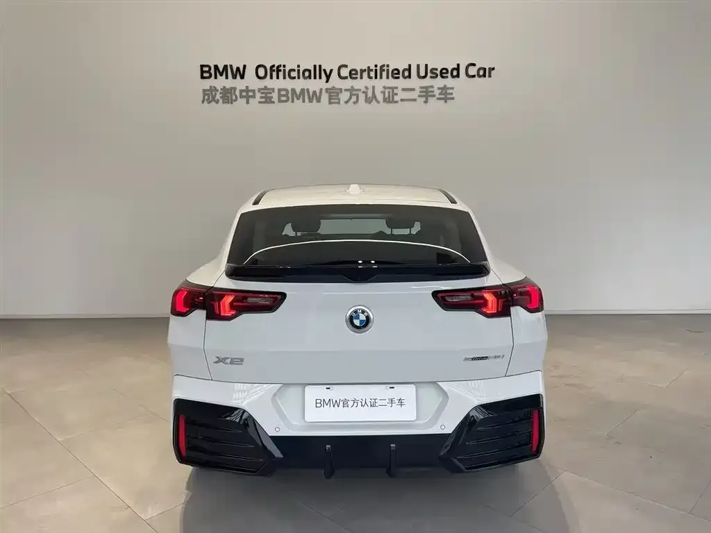 BMW X2 (Import) 2025 из CN, фото 4