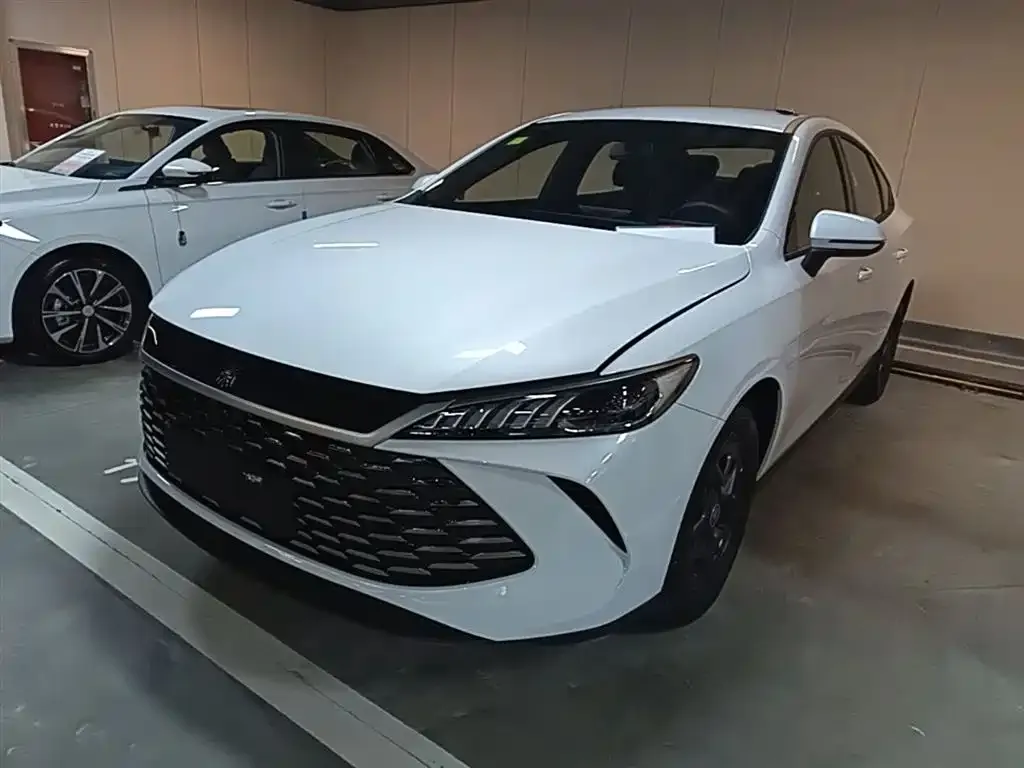 BYD Qin PLUS — фото 2