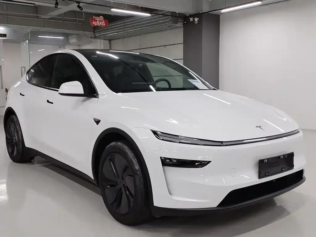 Tesla Model Y — фото 5