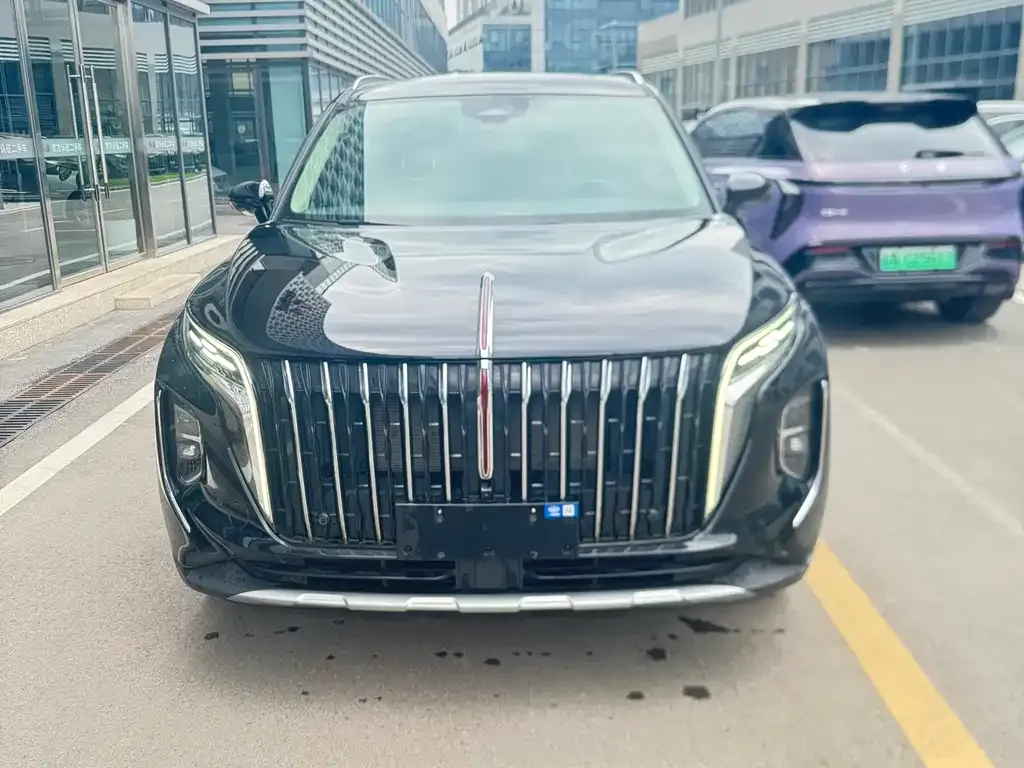 Hongqi HS7 PHEV 2024 из CN, фото 4