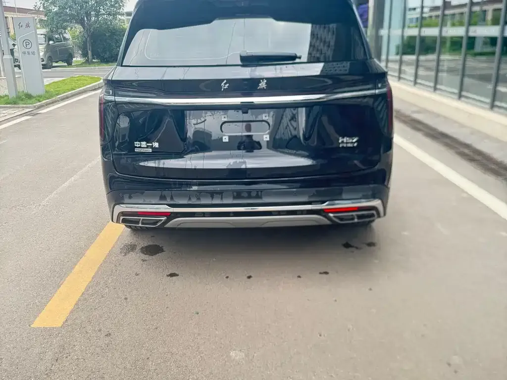Hongqi HS7 PHEV 2024 из CN, фото 6