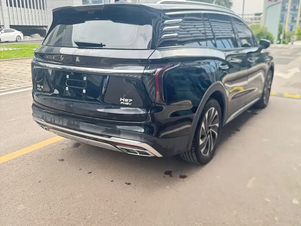 Hongqi HS7 PHEV 2024 из CN, фото 8