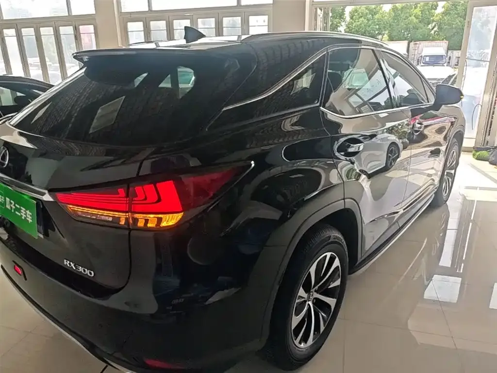 Lexus RX — фото 10