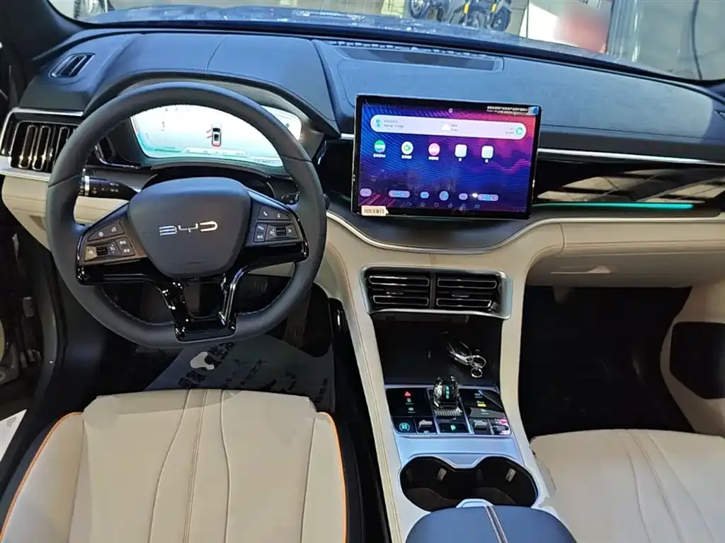 BYD PLUS New Energy — фото 10