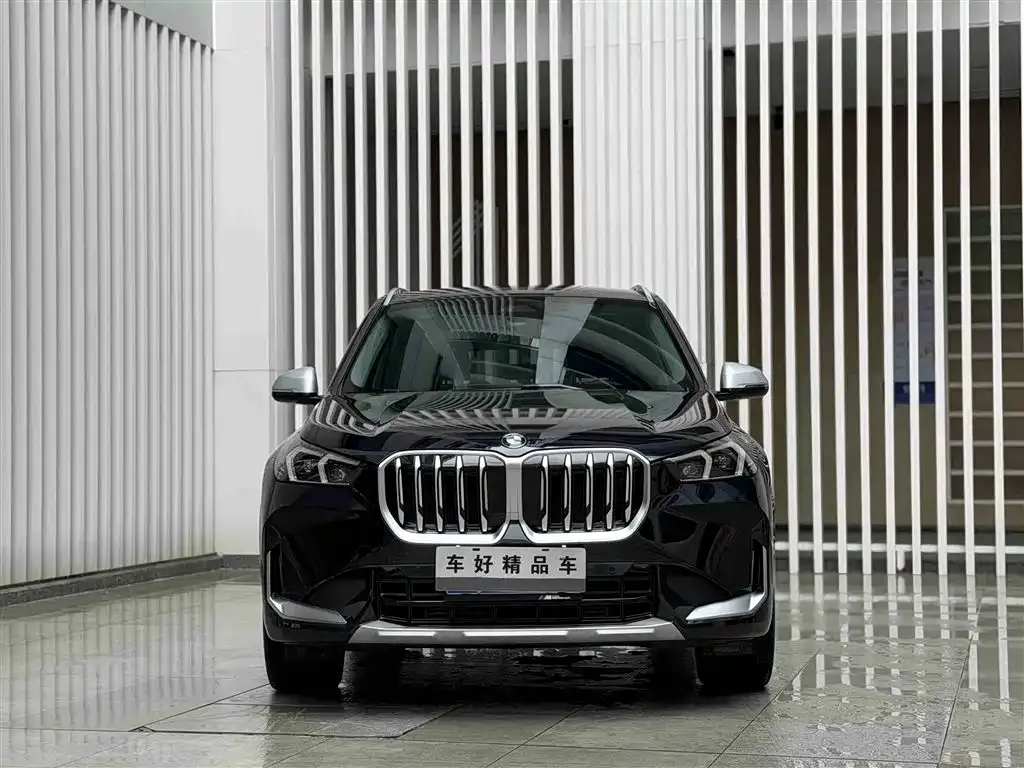 BMW X1 — фото 10