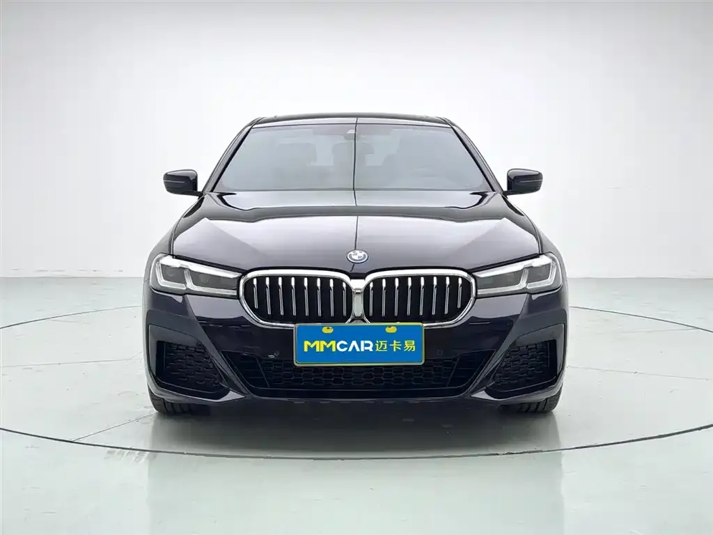 BMW 5 Series New Energy — фото 7
