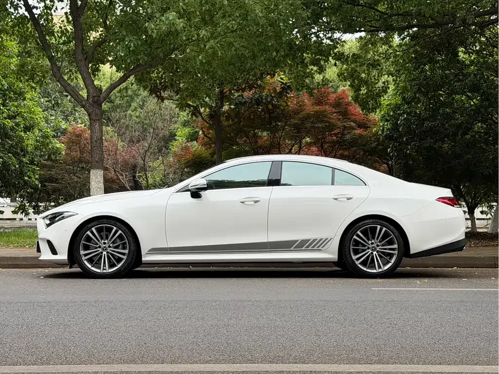 Mercedes-Benz CLS 2021 из CN, фото 10