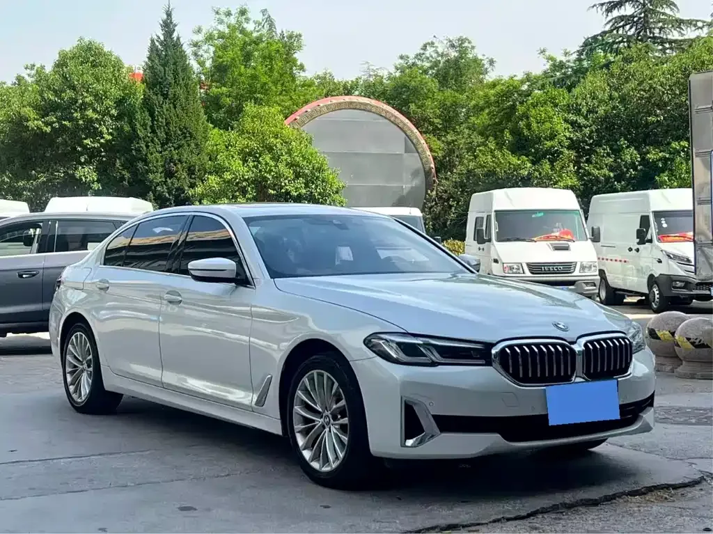 BMW 5 Series 2023 из CN, фото 3
