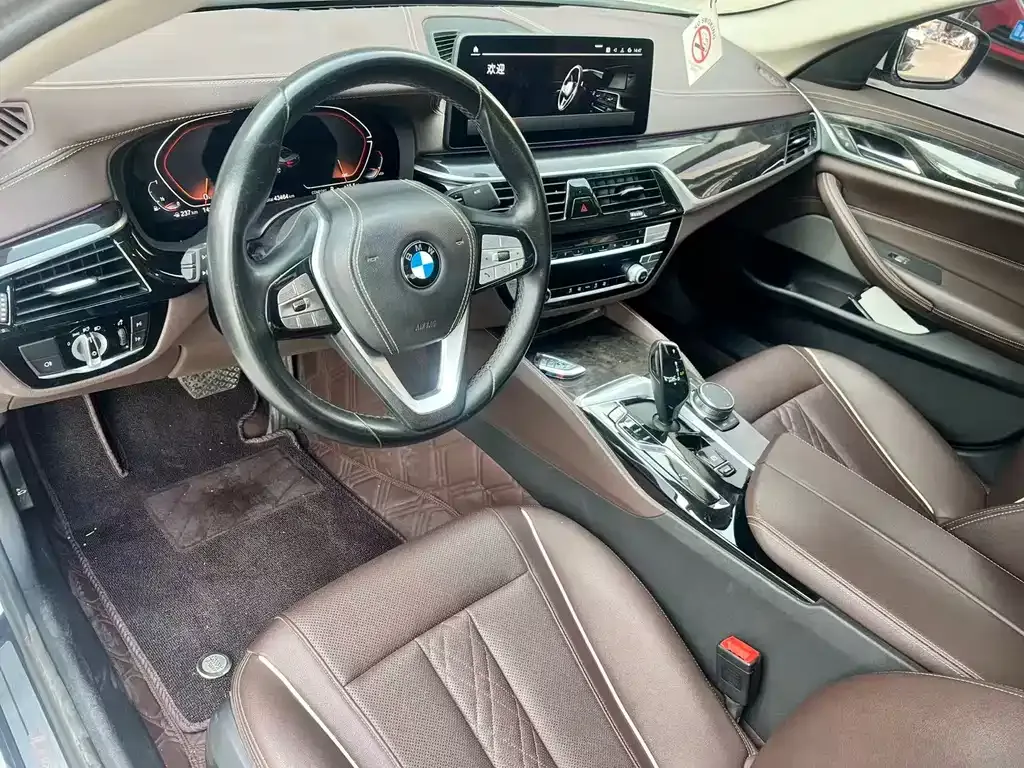 BMW 5 Series 2023 из CN, фото 8