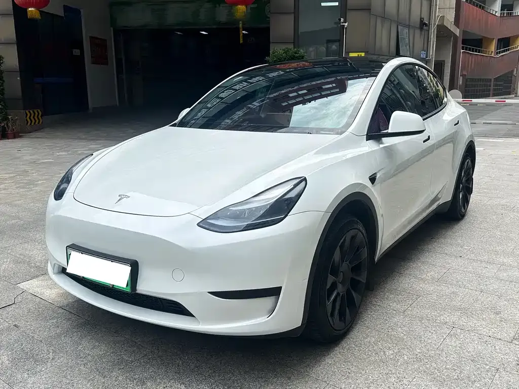 Tesla Model Y — фото 1
