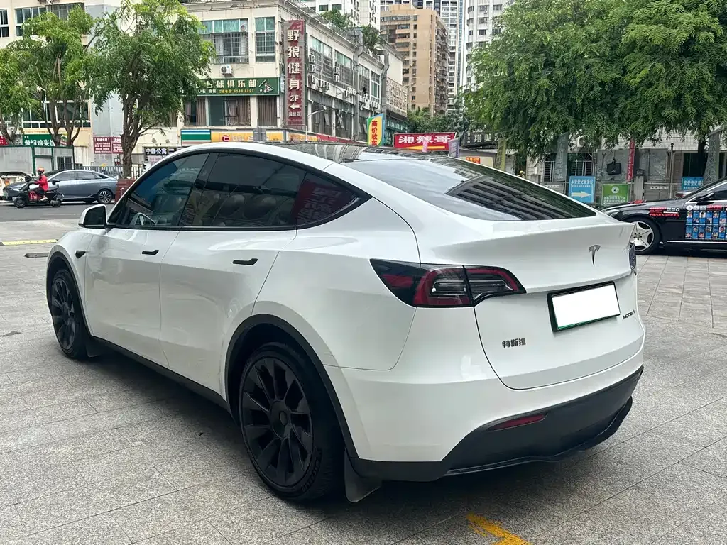 Tesla Model Y — фото 10