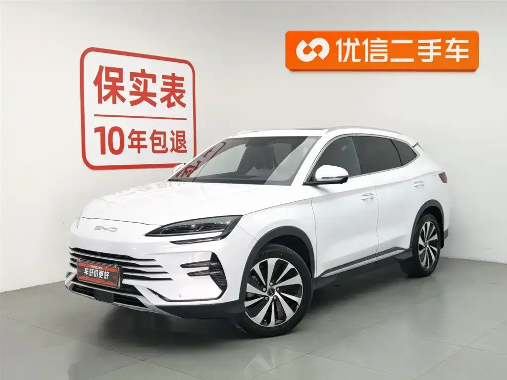 BYD PLUS New Energy — фото 1