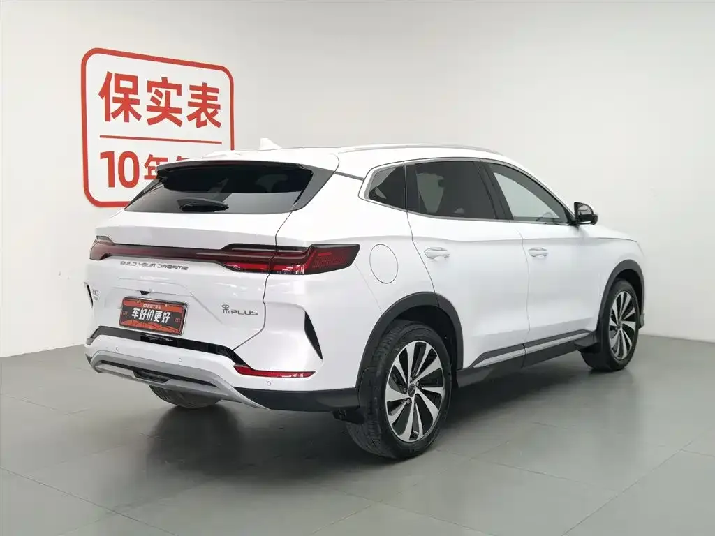 BYD PLUS New Energy — фото 3
