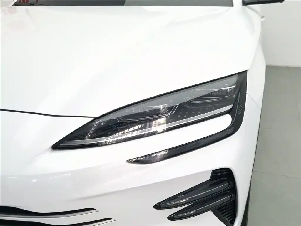 BYD PLUS New Energy — фото 4