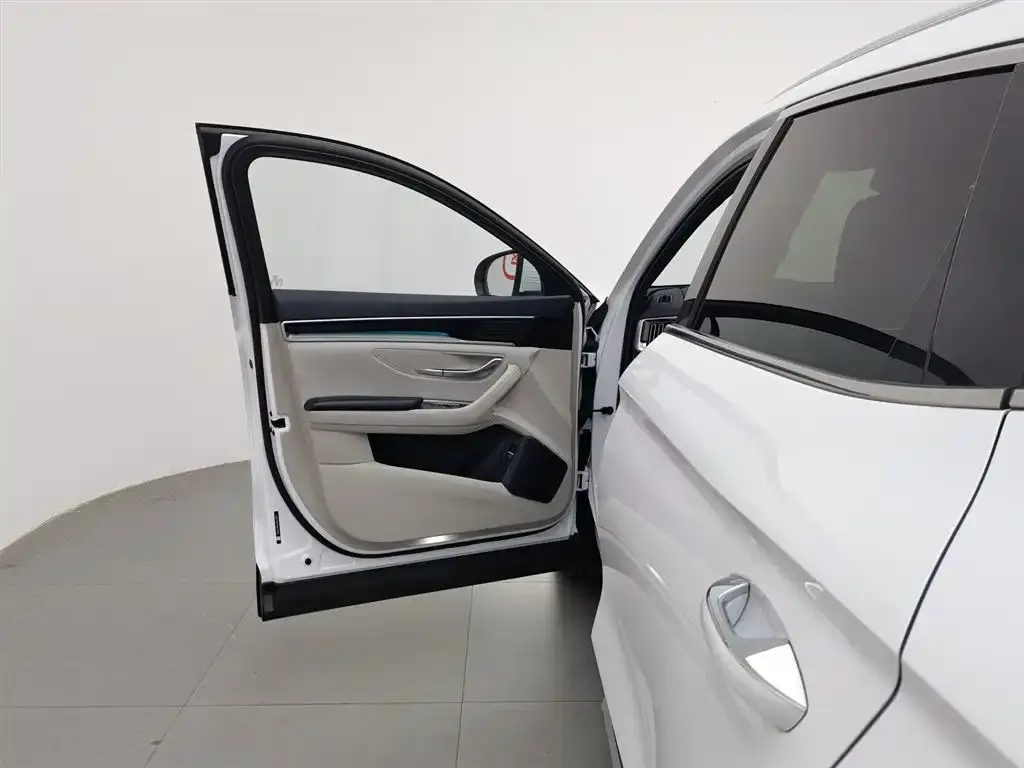 BYD PLUS New Energy — фото 2