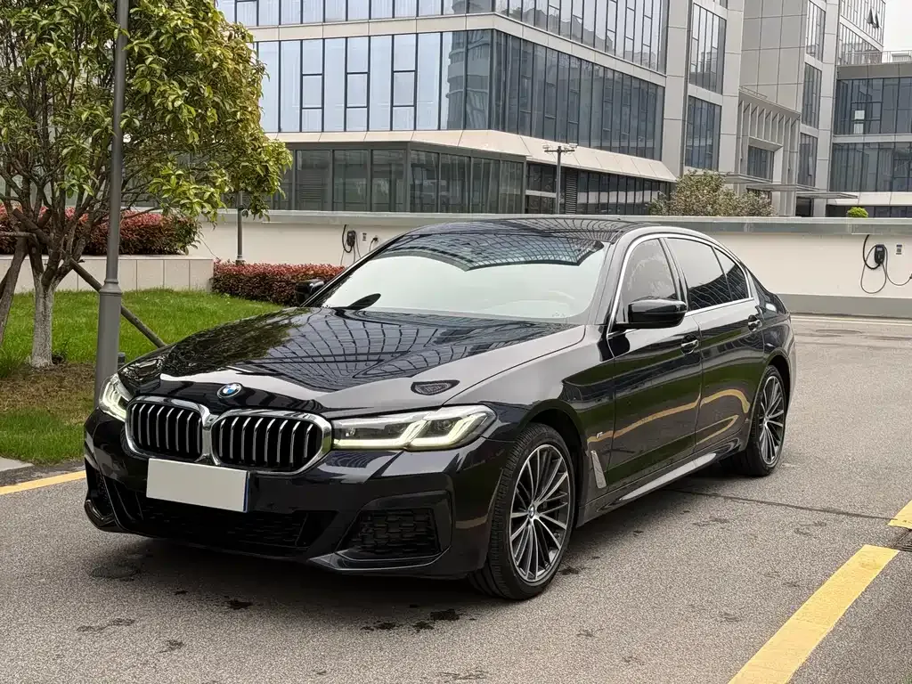 BMW 5 Series 2022 из CN, фото 1