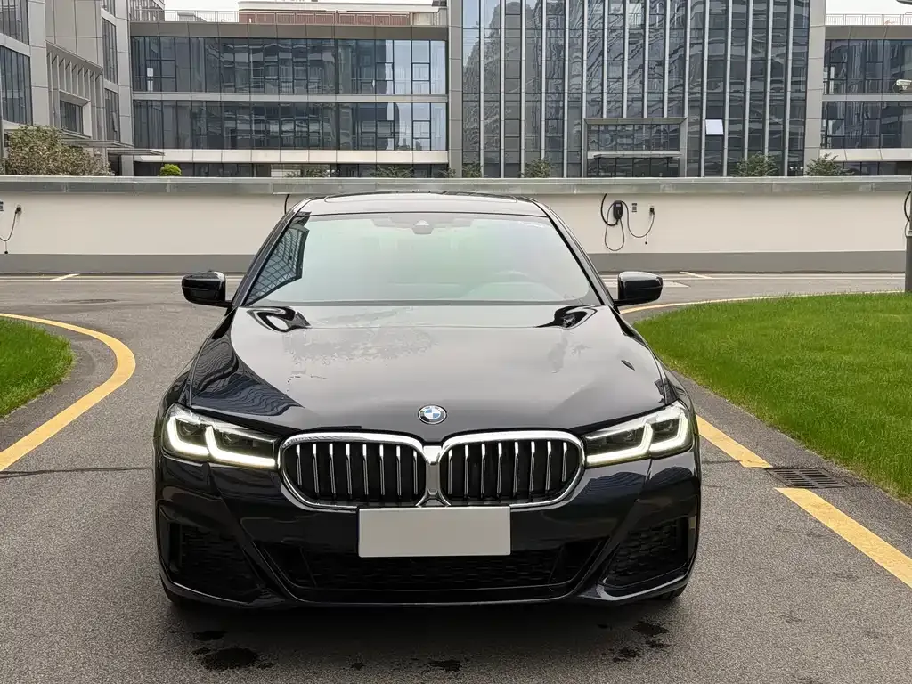 BMW 5 Series 2022 из CN, фото 2