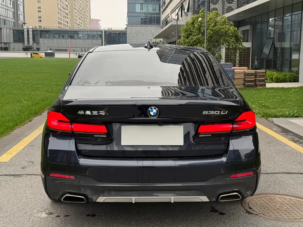 BMW 5 Series 2022 из CN, фото 4