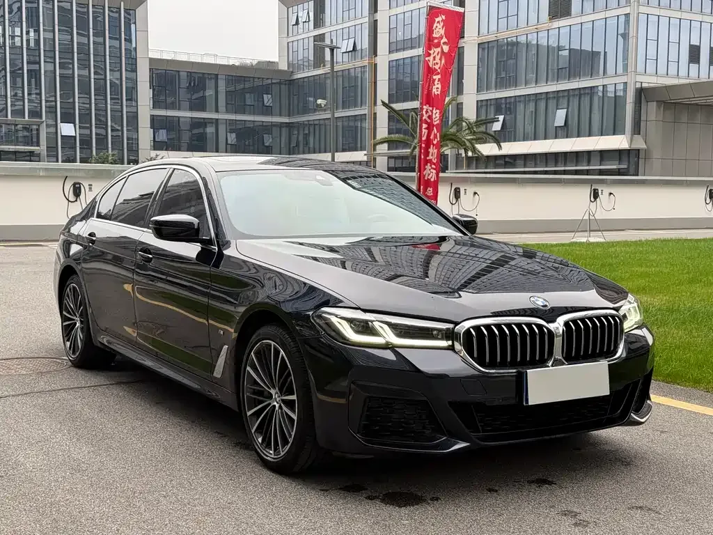 BMW 5 Series 2022 из CN, фото 5