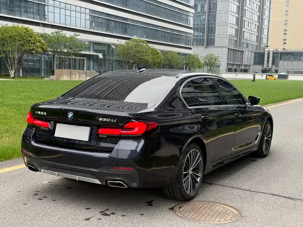 BMW 5 Series 2022 из CN, фото 3