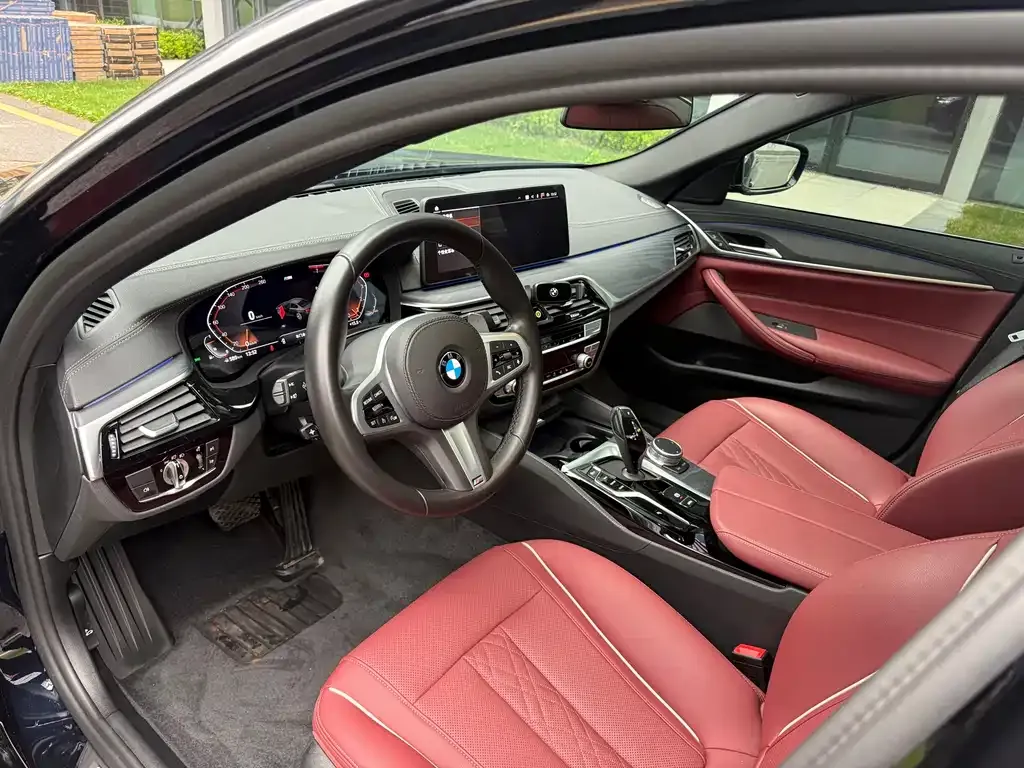 BMW 5 Series 2022 из CN, фото 10