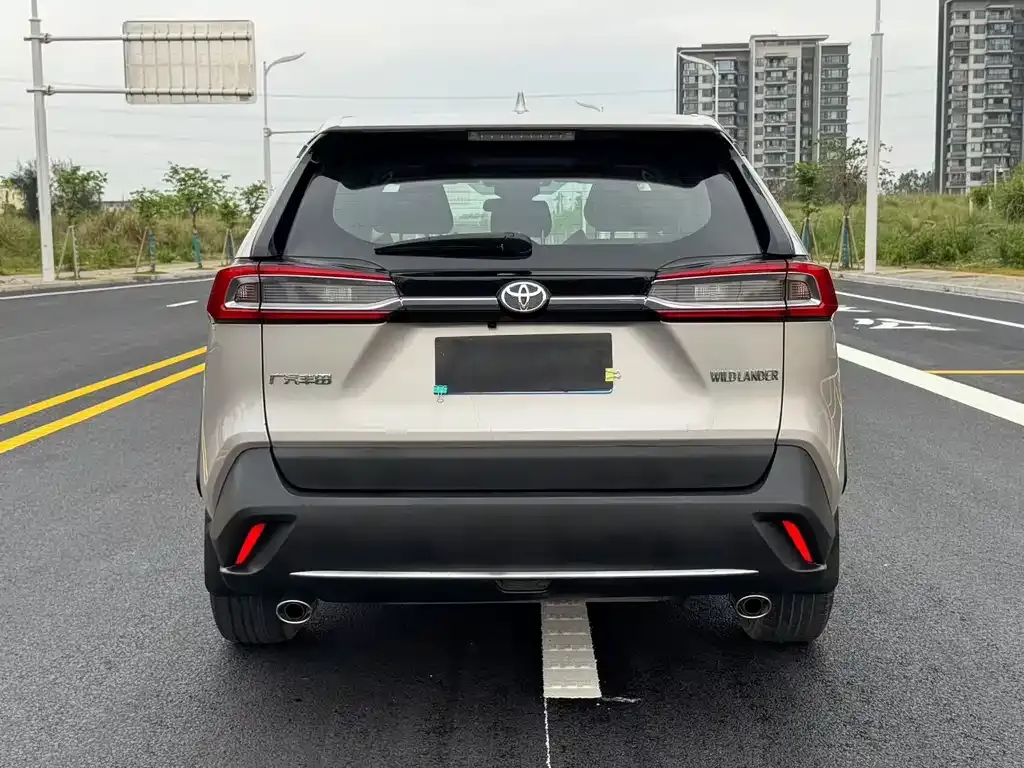 Toyota Wildlander 2021 из CN, фото 2