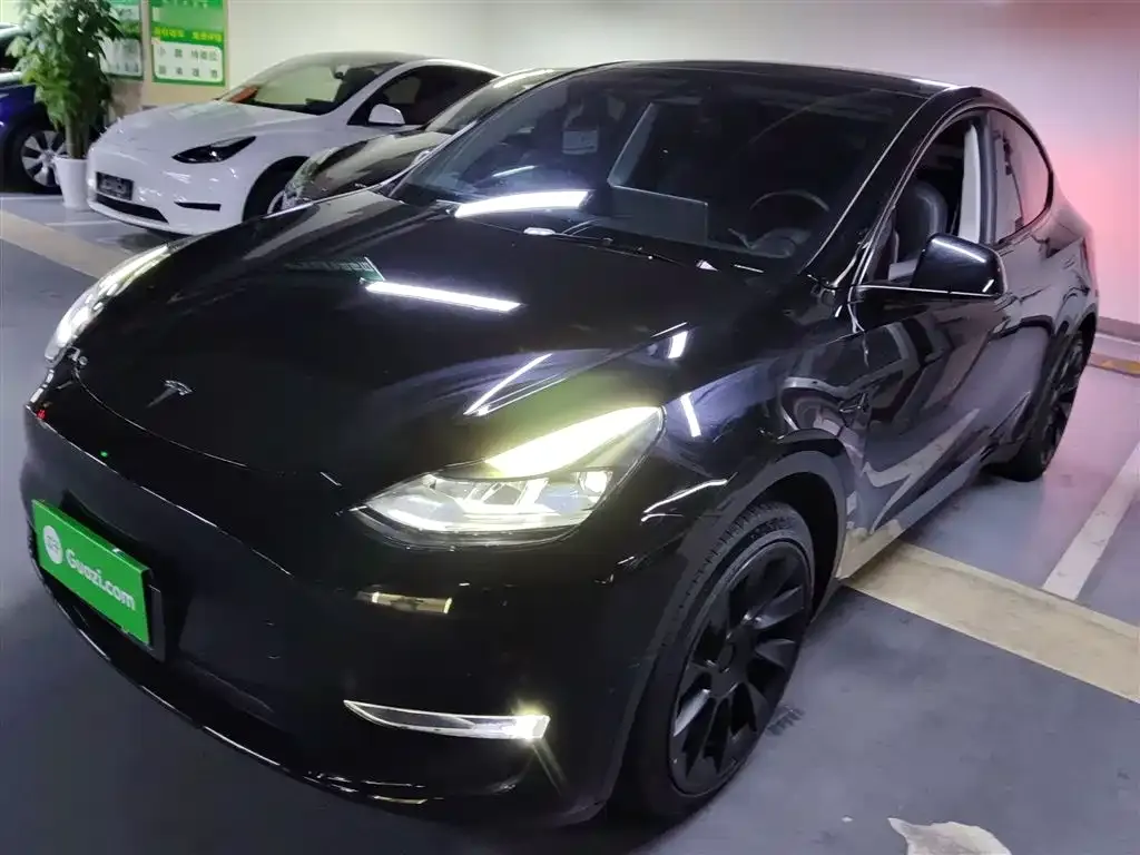 Tesla Model Y — фото 1