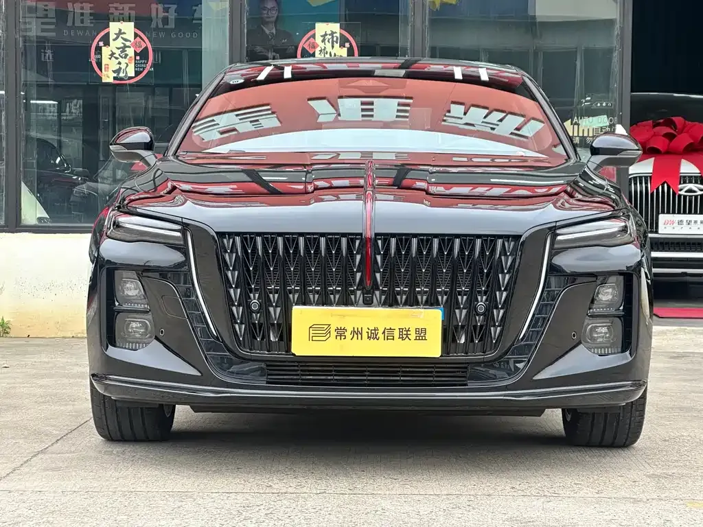 Hongqi H5 — фото 8