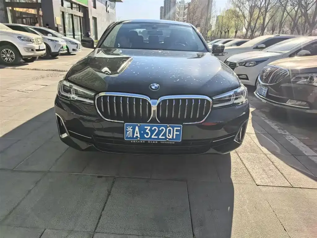BMW 5 Series 2022 из CN, фото 7