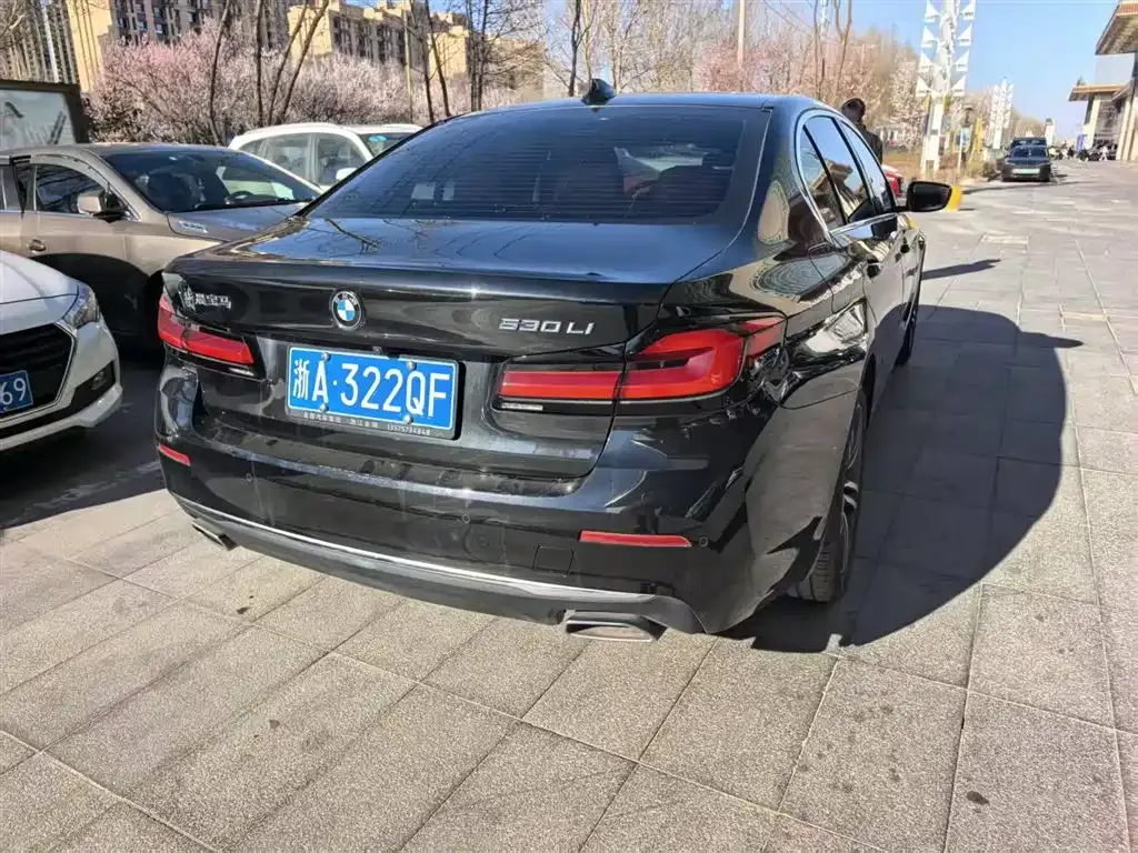 BMW 5 Series 2022 из CN, фото 2