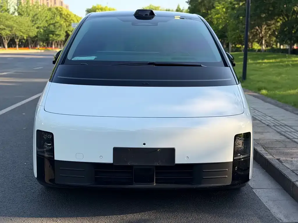 Li Auto MEGA 2024 из CN, фото 7