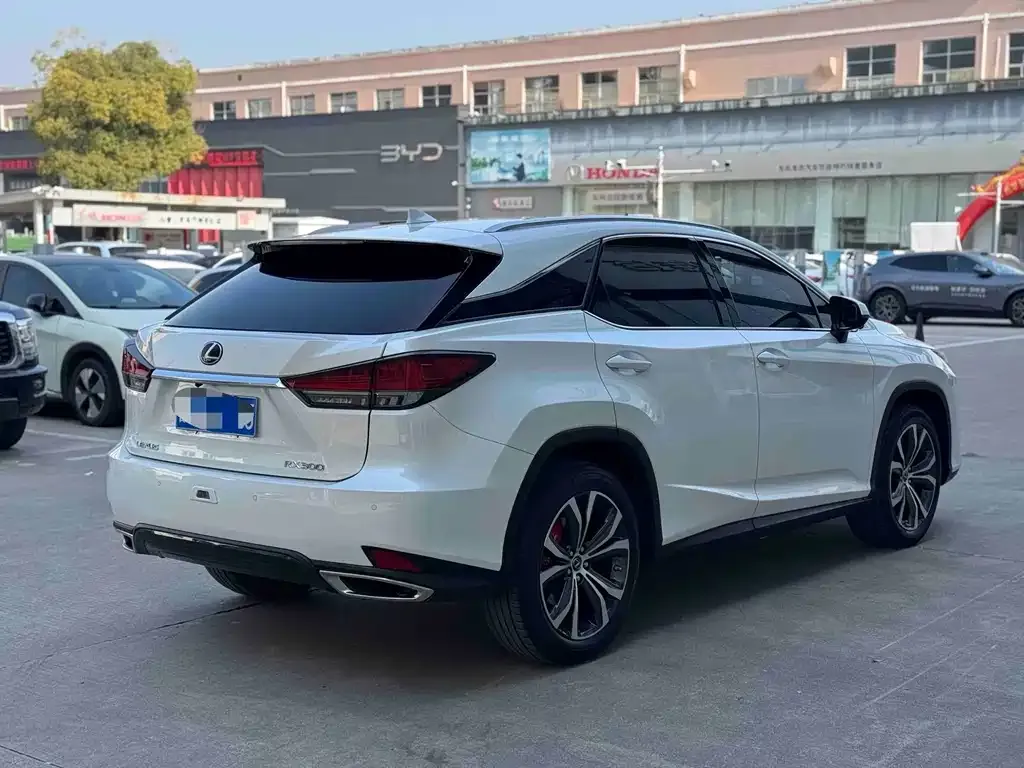 Lexus RX — фото 3