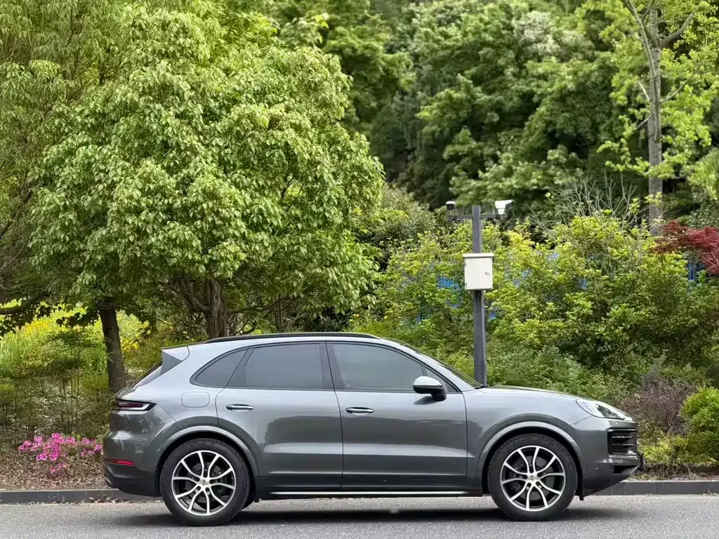 Porsche Cayenne — фото 10