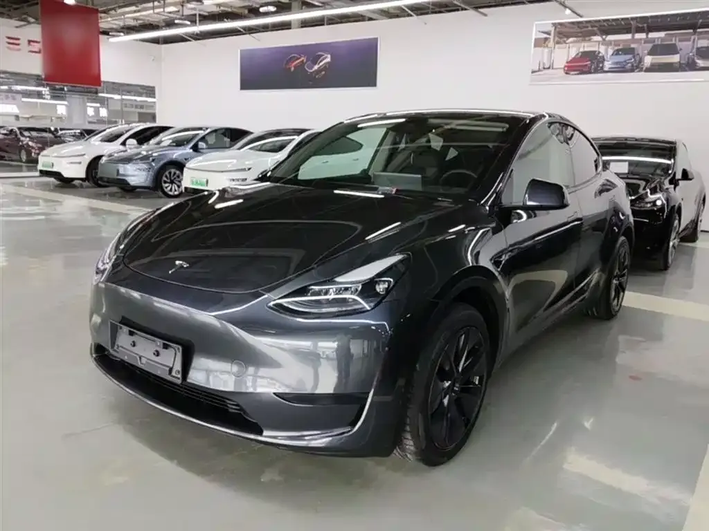 Tesla Model Y — фото 7