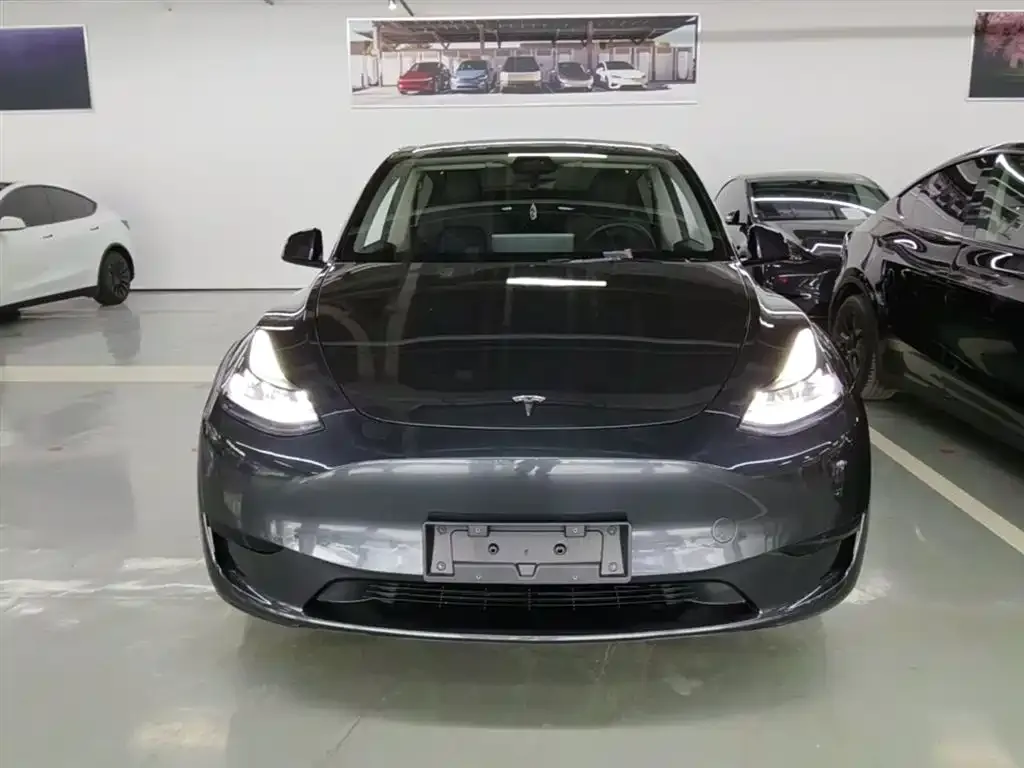 Tesla Model Y — фото 2